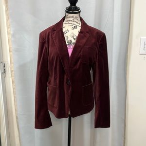 Ann Taylor Velour Blazer